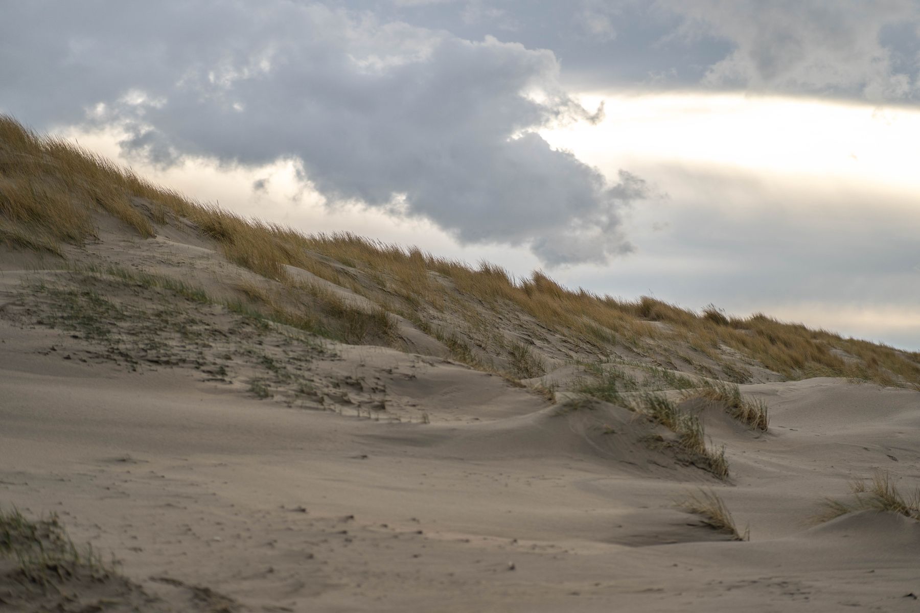 Sand dunes topped with marram grass under a heavy gray sky.