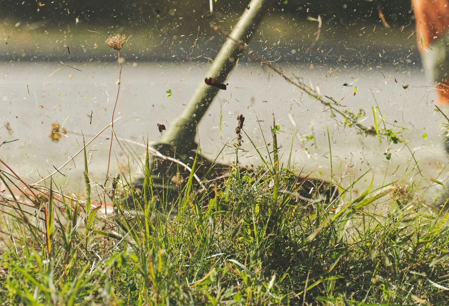Grass and clippings flying from a string trimmer at ground level.