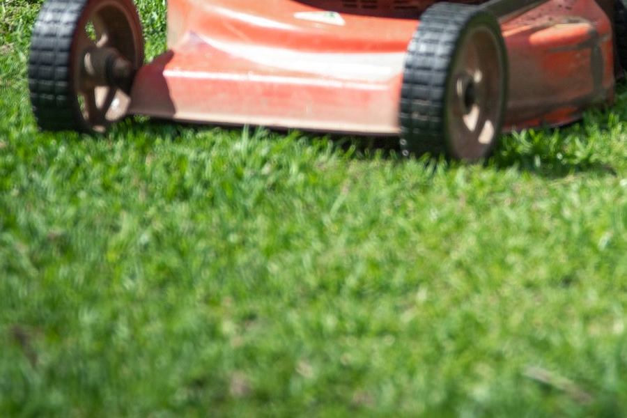 A push mower standing on thick green grass.