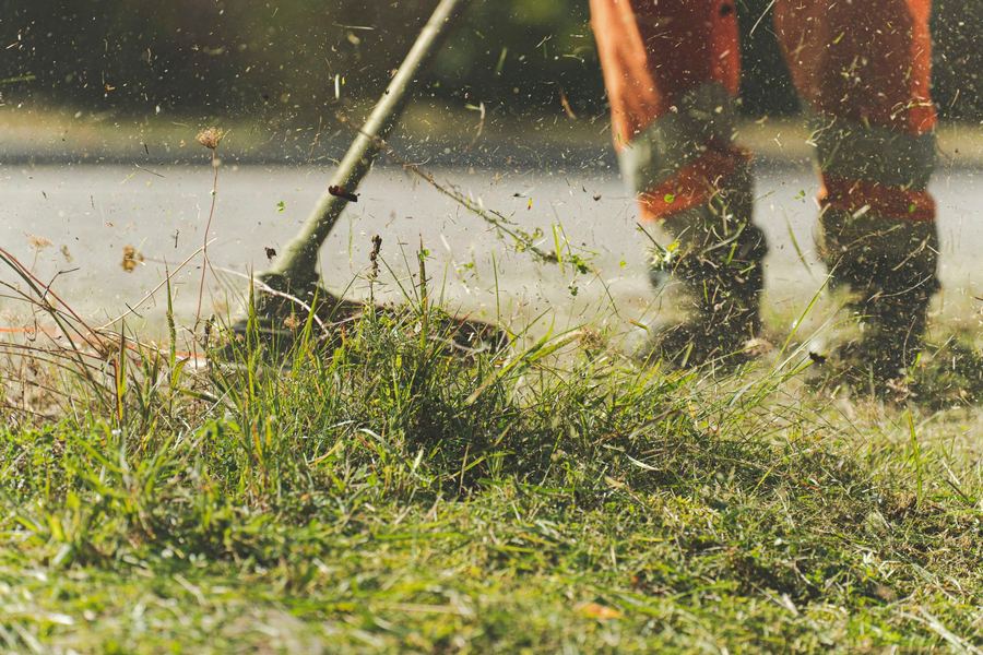 A string trimmer throwing a spray of clippings along the edge of a lawn.
