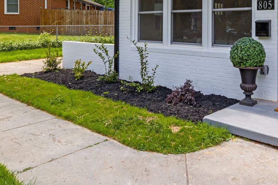 A planting bed with fresh dark mulch and new shrubs along a white brick wall.