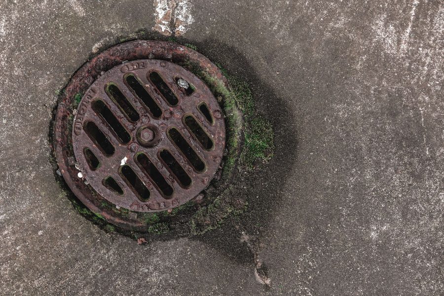 A rusted cast iron floor drain grate set into a concrete slab, with moss growing around the rim.